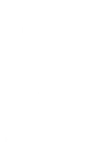 Top Kanzlei